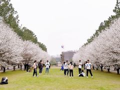 -同济大学(嘉定校区)