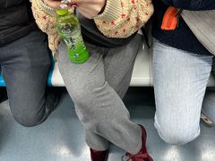 -花园桥(地铁站)