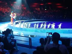 -珠海横琴长隆《卡卡虎奇遇记》