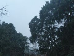 -青城山