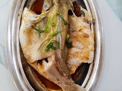 -田螺阿姨自营月嫂·育儿嫂(高新店)