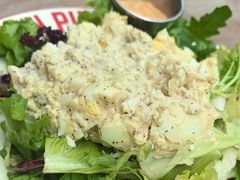 -Tubestation站点比萨(五道营店)