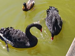 -蓝地时尚庄园(北京清河营地铁站店)