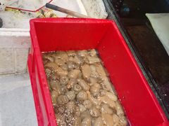 -渔满仓海鲜渔家(象山二店)