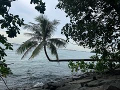 -巴拉湾海滩