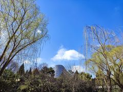 -莲花池公园