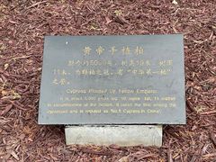 -黄帝陵