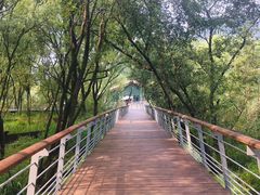 -西湖风景区-江洋畈生态公园