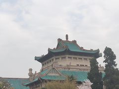 -武汉大学-樱园