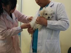 -美迦爱-牙专科·兔科·骨科诊疗中心(北苑店)