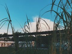-鱼珠码头(轮渡站)