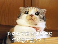 -CoCo都可(昌吉店)