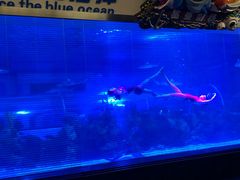 -成都浩海立方海洋公园