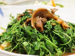 -新梅华餐厅(星悦汇店)