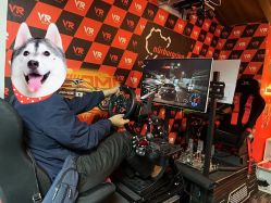 -BBVR团建聚会体验馆·亲子DIY手工