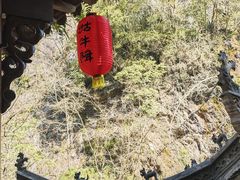 -石台牯牛降景区