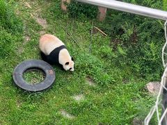 -沈阳森林动物园