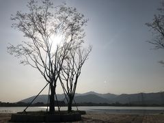 -长田漾湿地公园