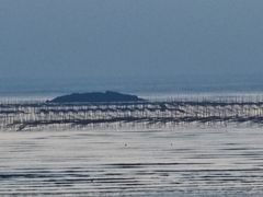 -北岐滩涂
