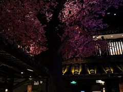 -章丘宴(唐人中心店)