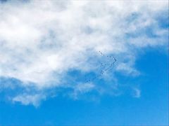 -官厅老勾渔馆(温泉店)