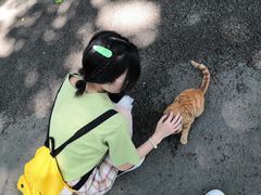 -黄桷坪涂鸦艺术街