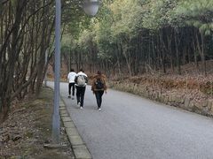 -雨花胜境