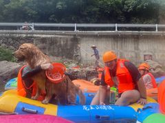 -安吉龙王山峡谷漂流