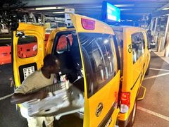 -约翰·菲茨杰拉德·肯尼迪国际机场