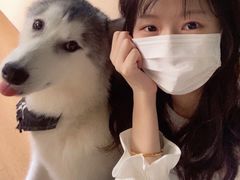 -Husky Go! 哈士奇体验馆·宠物咖啡厅狗咖