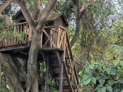 -蜈支洲岛珊瑚酒店临海阁中餐厅