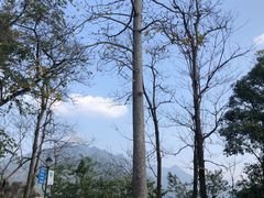 -广州市流溪河国家森林公园