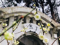 -无锡梅园公园