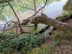 -贵阳市花溪国家城市湿地公园