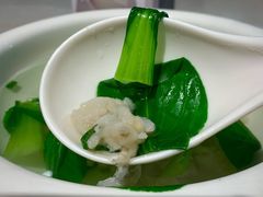 鱼丸汤-华盛丰温州大排档(东三环南路店)