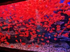 -多彩贵州城极地海洋世界