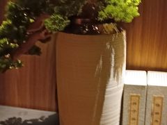 -江南足纪·影院足道·轻奢SPA(笋岗HALO广场店)