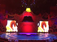 -珠海横琴长隆《卡卡虎奇遇记》