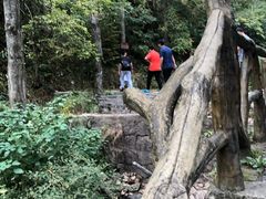 -罗田薄刀峰风景区