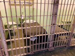 -阿尔卡特拉斯岛