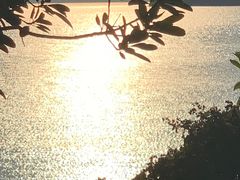 -骆记肠粉油糍