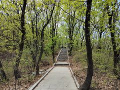 -云蒙山风景区