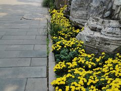 -丰台花园
