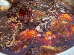 -金鼎雪山牦牛杂火锅(理县总店)