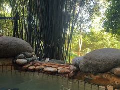 -三江森林温泉度假区