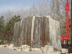 -合肥滨湖国家森林公园