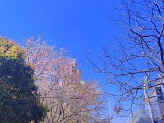 -上海来福士广场