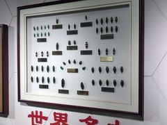 -上海昆虫博物馆