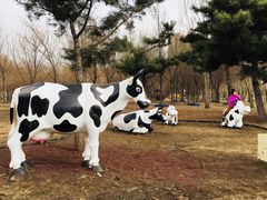 -长春公园(普阳街道)