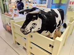 -红星前进面包牛奶公司(君太店)